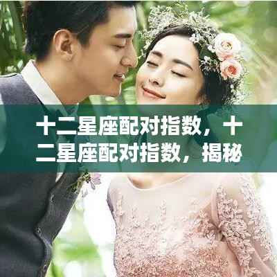 揭秘十二星座配对指数，探寻星座间神秘缘分缘分指数大揭秘！