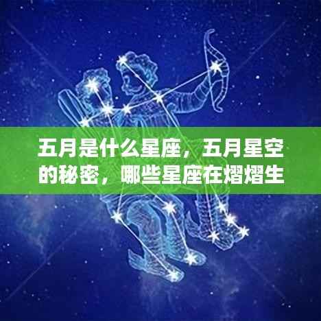 五月星空下的星座秘密，熠熠生辉的星座探寻之旅