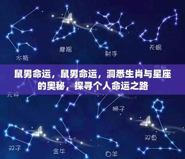 鼠男命运揭秘，探寻生肖与星座的奥秘，洞悉个人命运之路