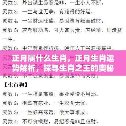 探寻生肖奥秘，正月运势解析与生肖运势揭秘