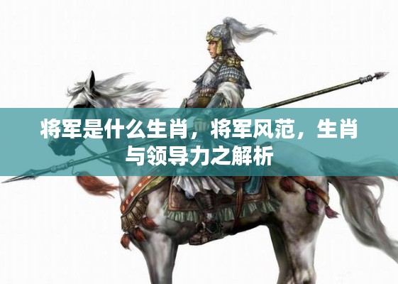 将军风范与生肖领导力解析，揭秘生肖将军的特质与领导力之道