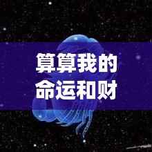 命运与财运深度解析，星座运势预测报告