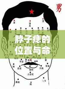 脖子痣的位置与命运图解，痣相揭示人生轨迹之谜