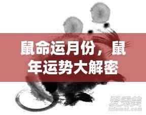 不同月份出生的属鼠人命运走势揭秘，鼠年运势深度解析