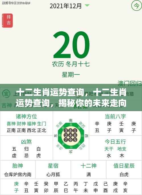 揭秘十二生肖未来运势走向，全面解析你的运势查询！