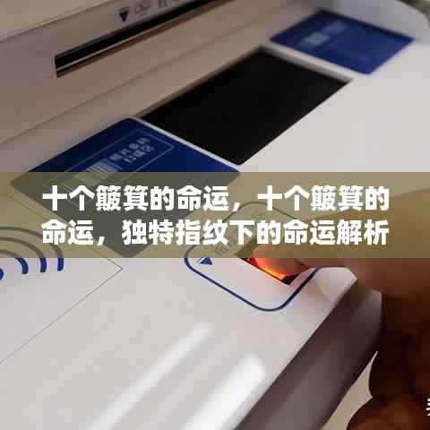 迷离马虎 第5页