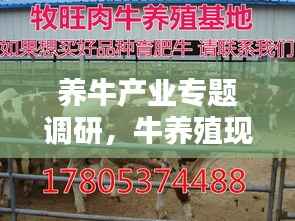 铺张浪费 第5页