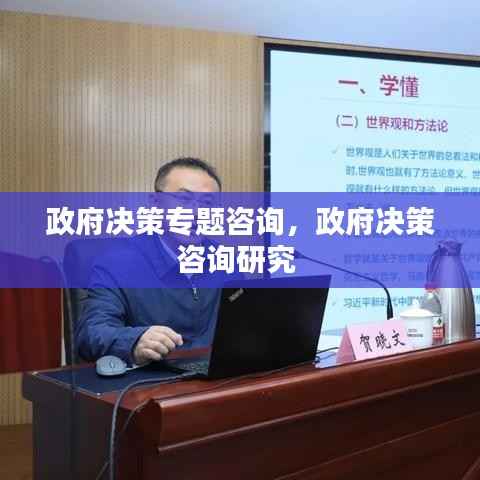 政府决策专题咨询，政府决策咨询研究 