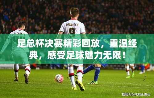 足总杯决赛精彩回放，重温经典，感受足球魅力无限！