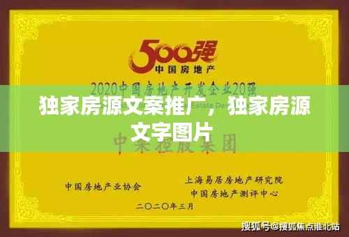 独家房源文案推广，独家房源文字图片 