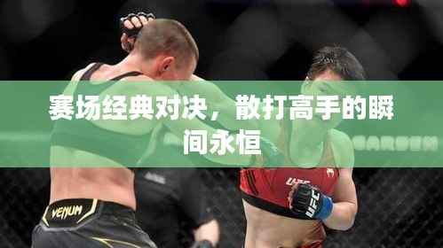 赛场经典对决，散打高手的瞬间永恒