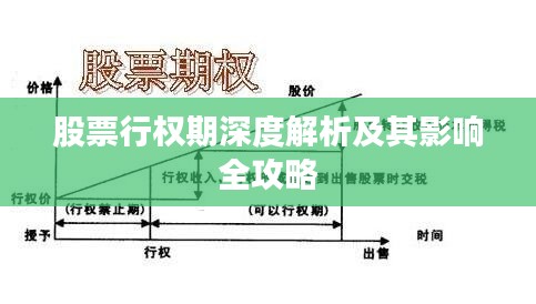 股票行权期深度解析及其影响全攻略